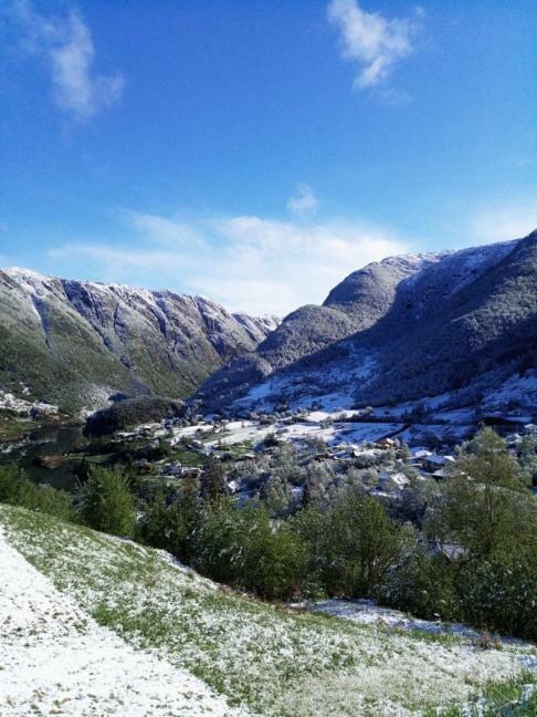 Sognevegen 2242 Appartement Haugsvaer Buitenkant foto