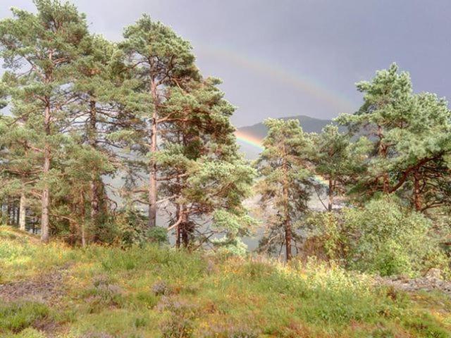 Sognevegen 2242 Appartement Haugsvaer Buitenkant foto